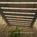 Foldable 600W 8bar LED Hemp Plant Grow Light